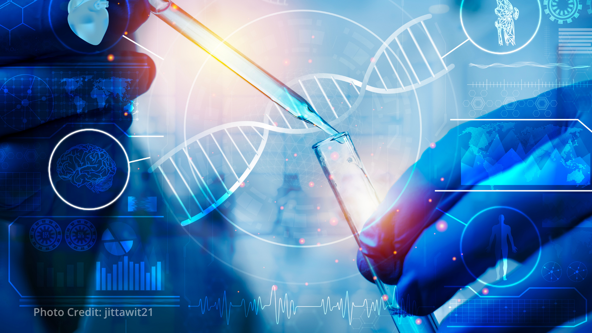 Research and innovation workforce keeps expanding across the OECD