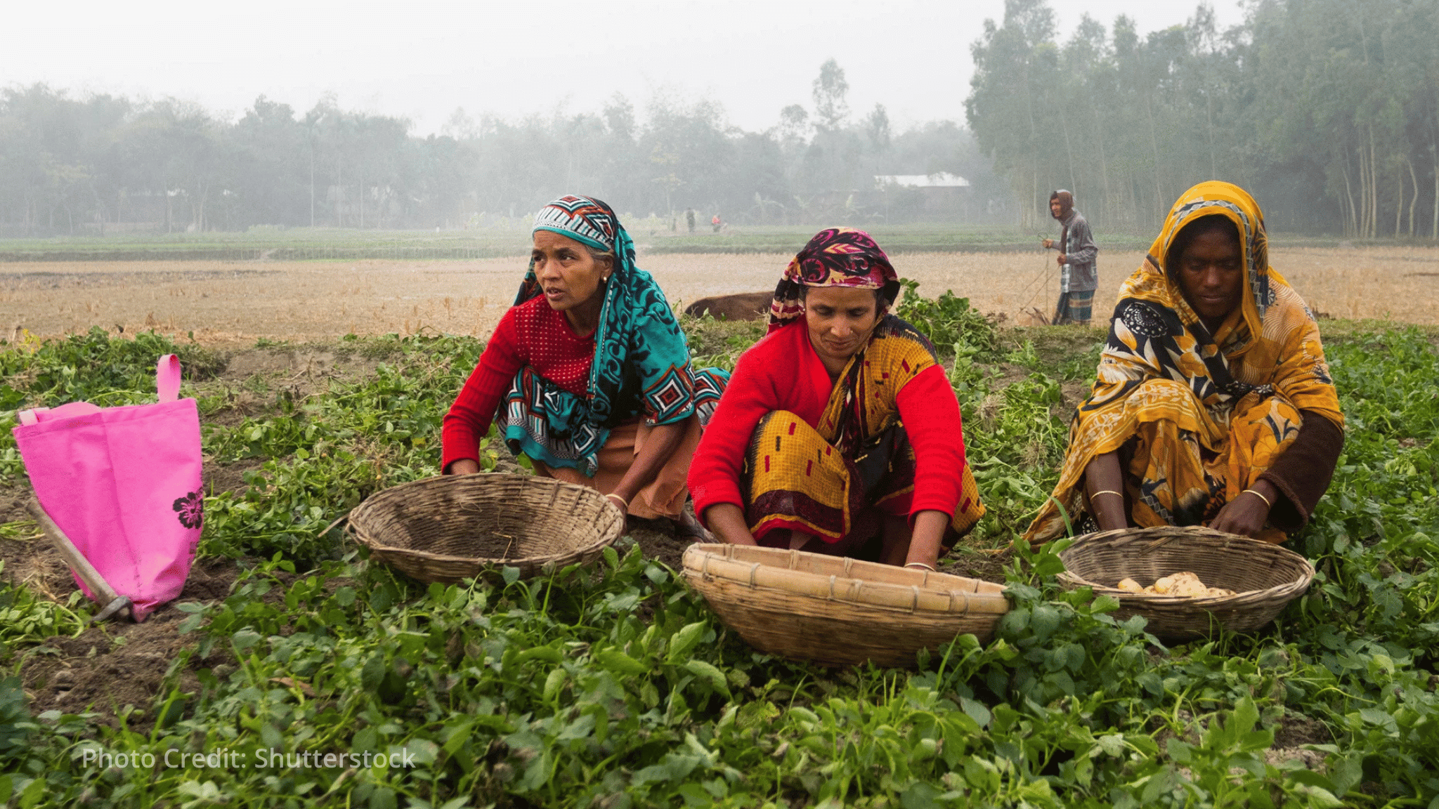 How cooperatives are advancing decent work across South Asia