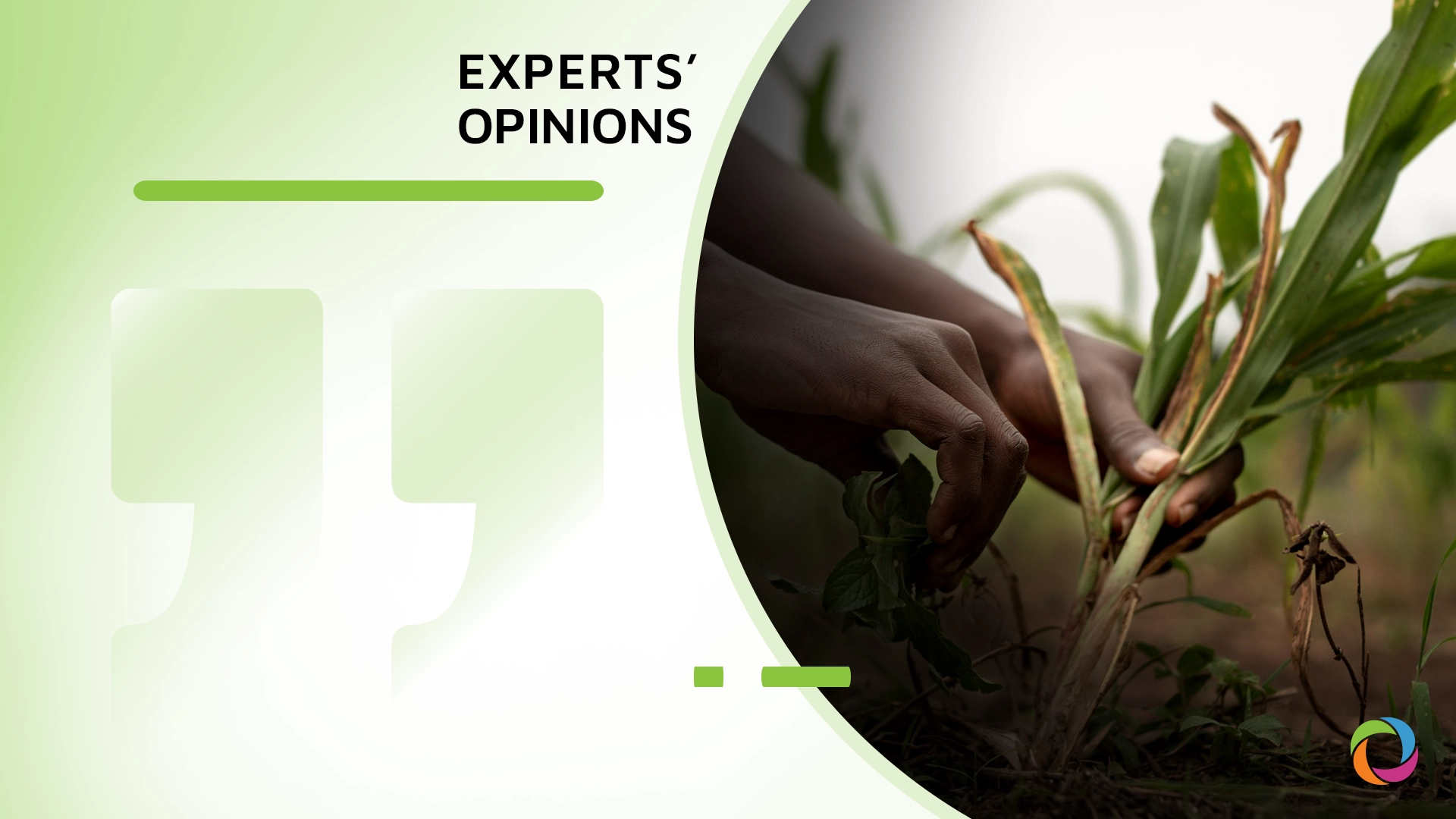 World Rural Development Day: challenges and opportunities (Part II)