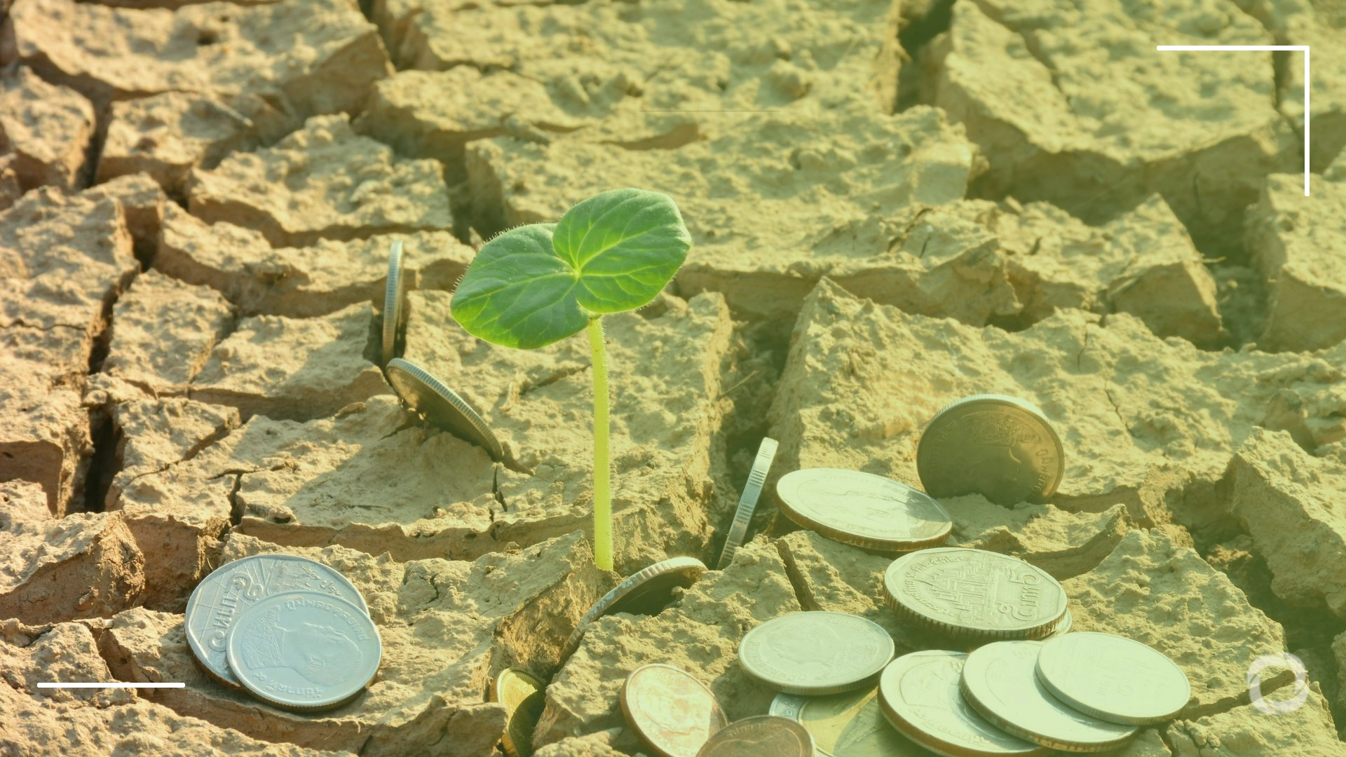 World Bank drops 45% climate finance target: what this means for developing countries World Bank drops 45% climate finance target: what this means for developing countries