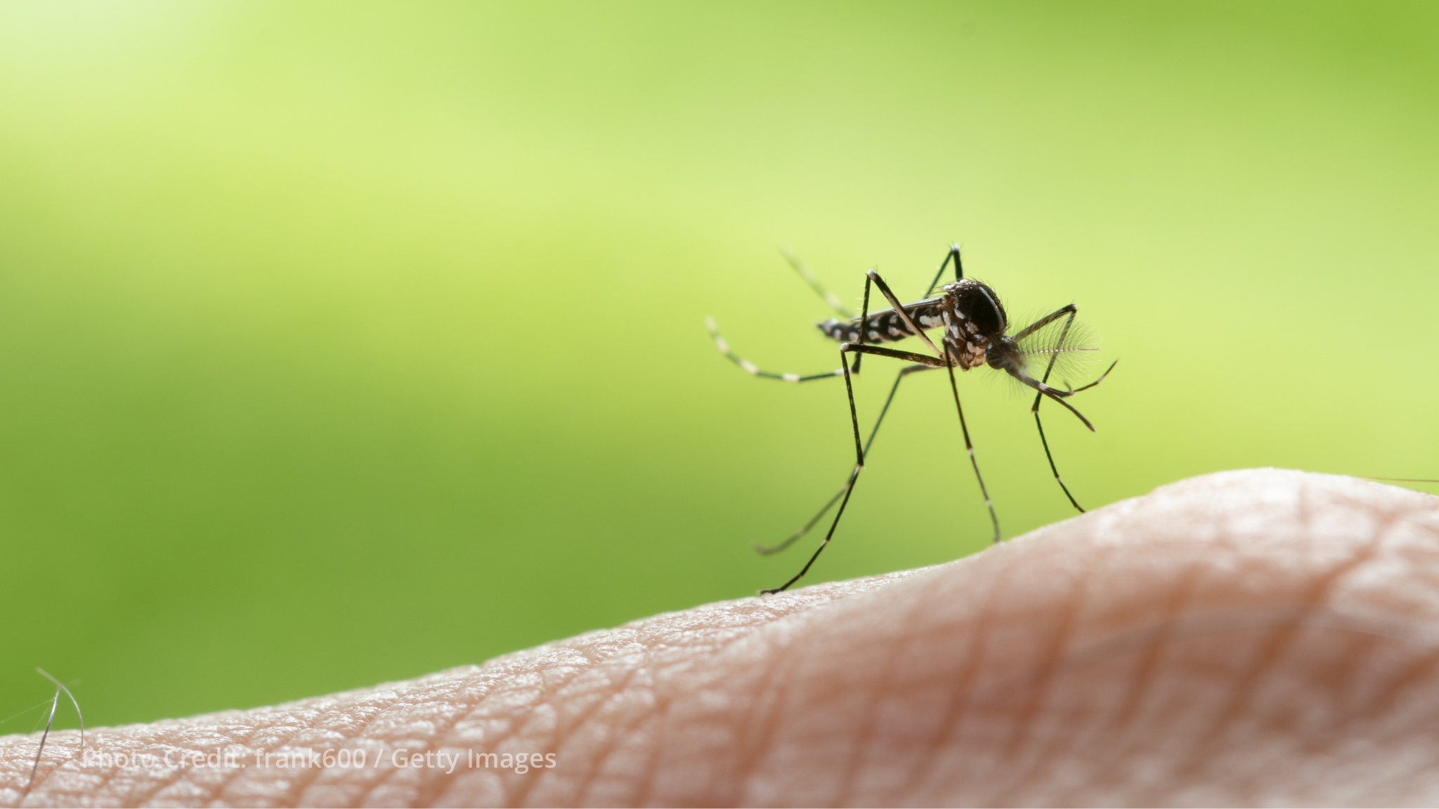 Unitaid commits US$36 million to scale up new malaria prevention tools