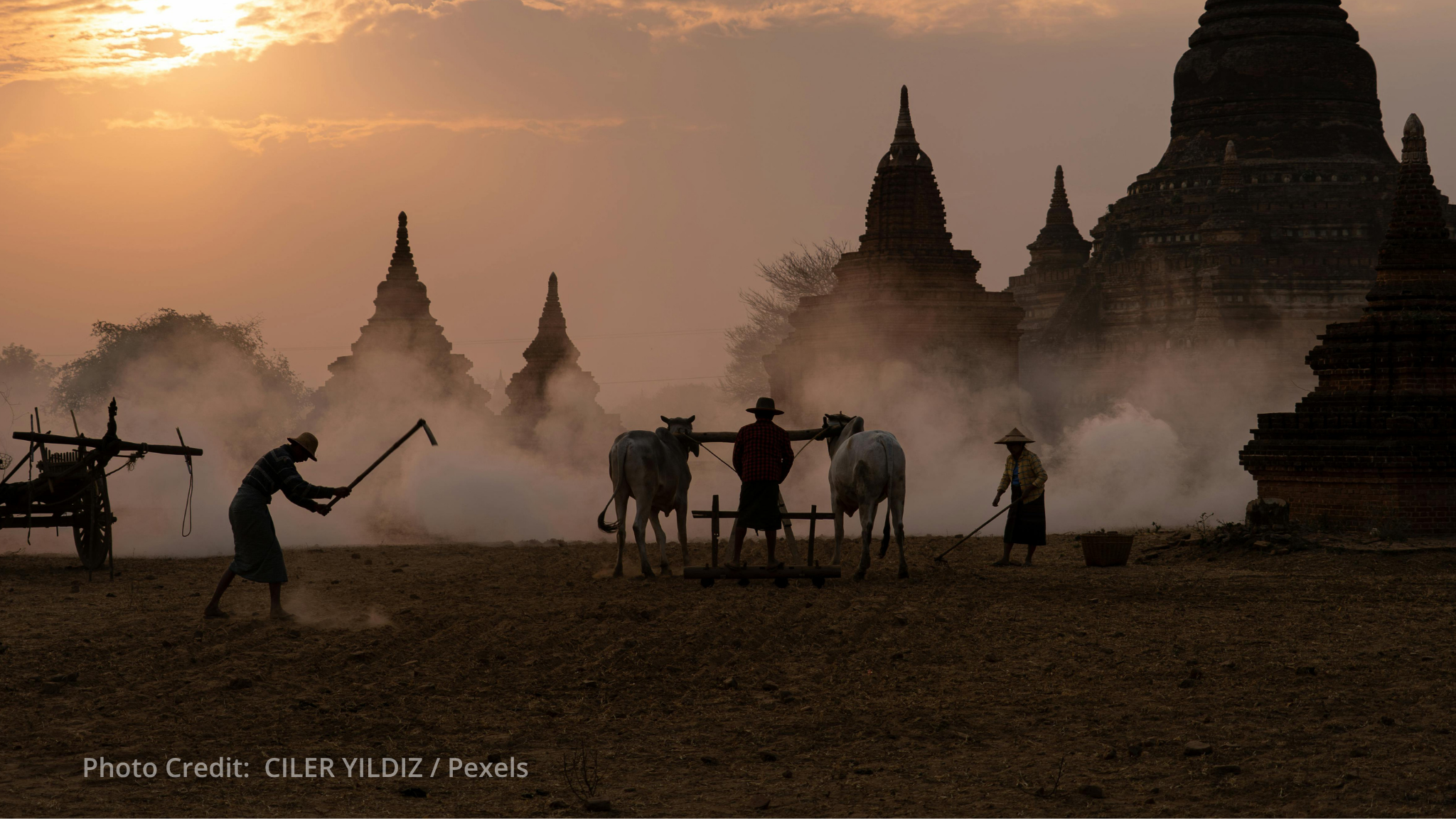 Republic of Korea boosts food aid to Myanmar with new USD 5 million contribution