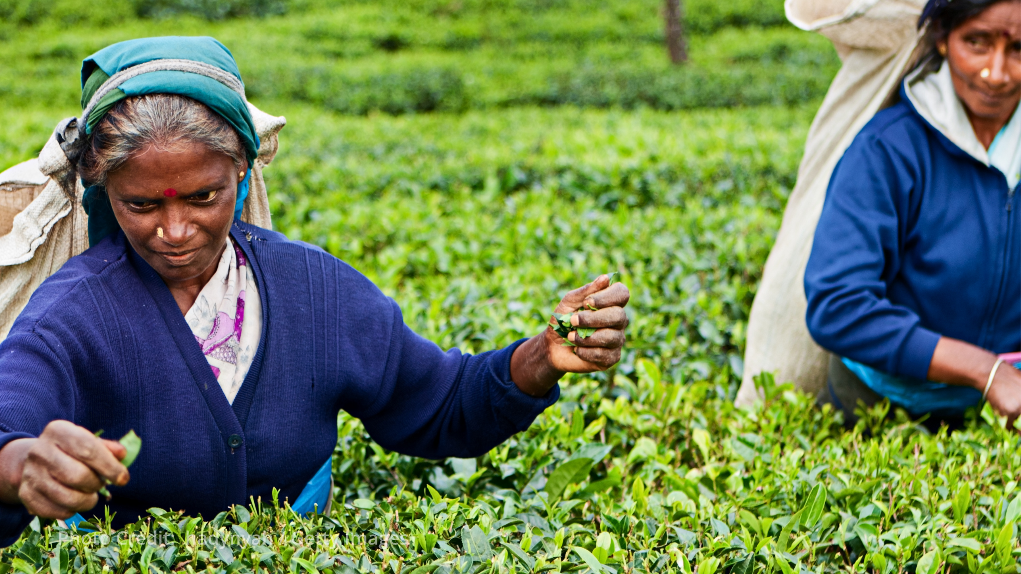 Sri Lanka advances social protection for migrant workers facing crises