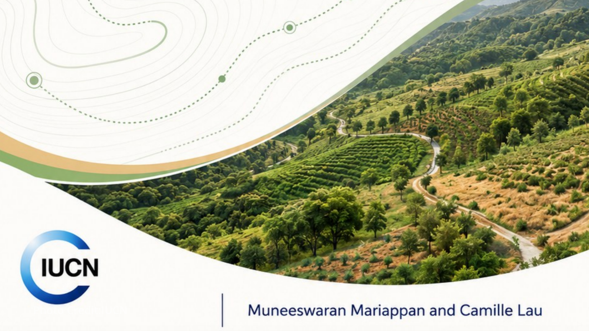 Countries call for integrated land, climate and biodiversity action at UNCCD COP17