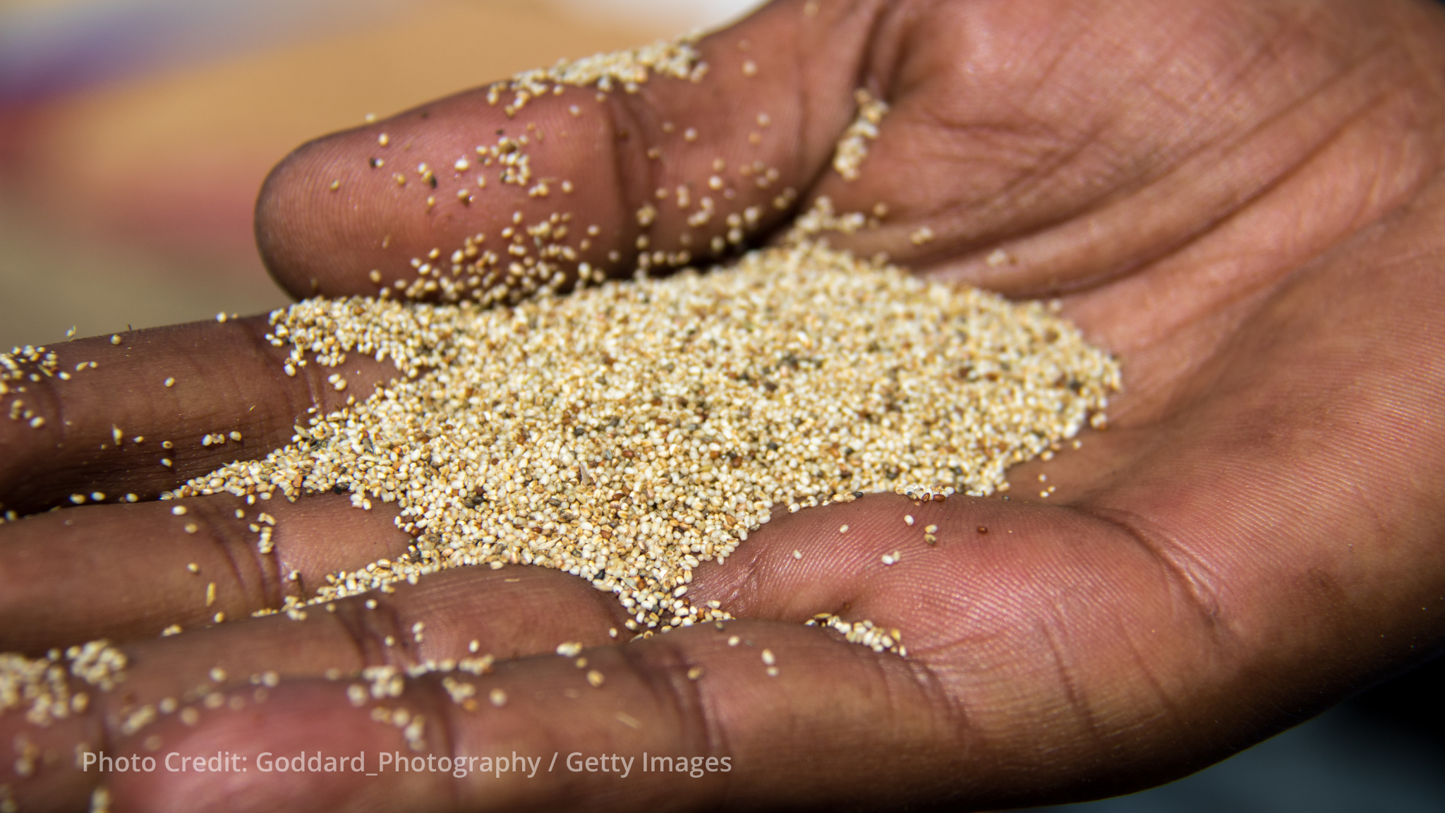 EIB Global and WFP expand climate-risk insurance for Ethiopian smallholder farmers