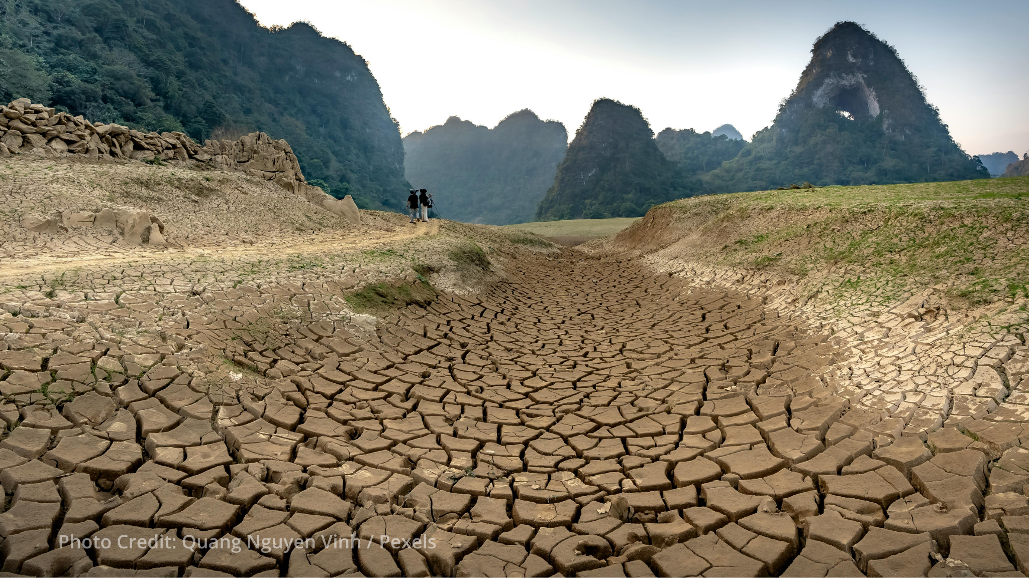 African Development Bank calls for scaled-up land restoration financing ahead of UNCCD COP17