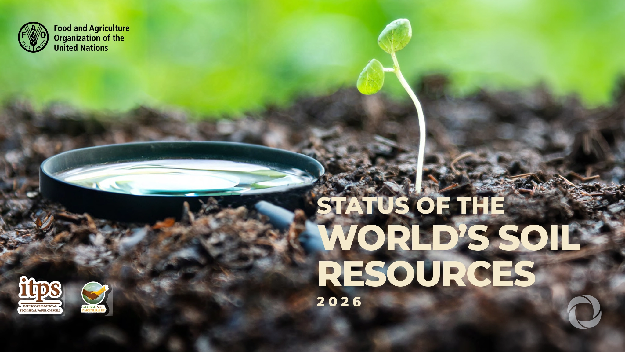 FAO report warns soil degradation is worsening as adoption of solutions lags | Report