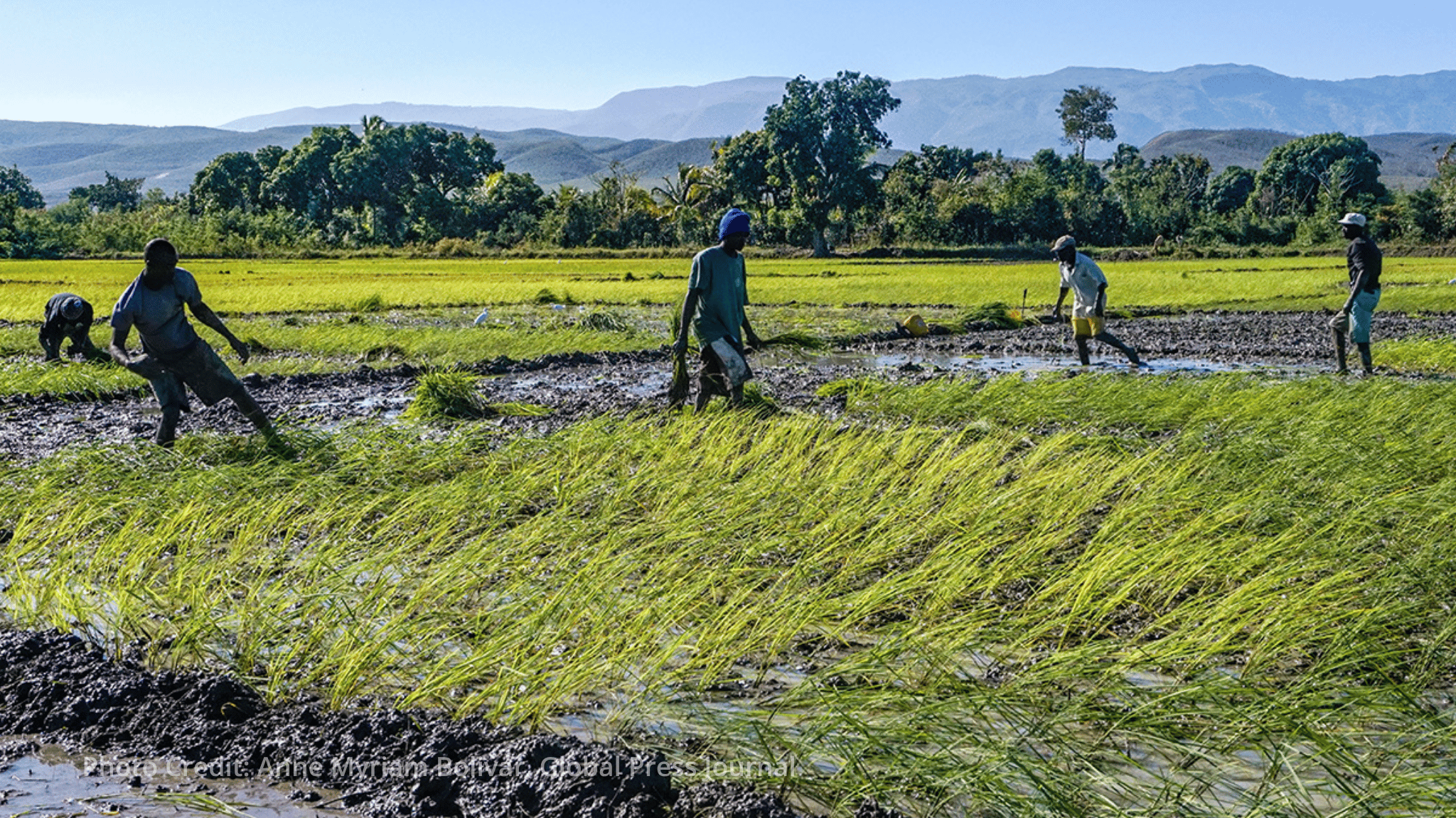 IDB approves $38.7 million grant to strengthen agriculture and food security in northern Haiti