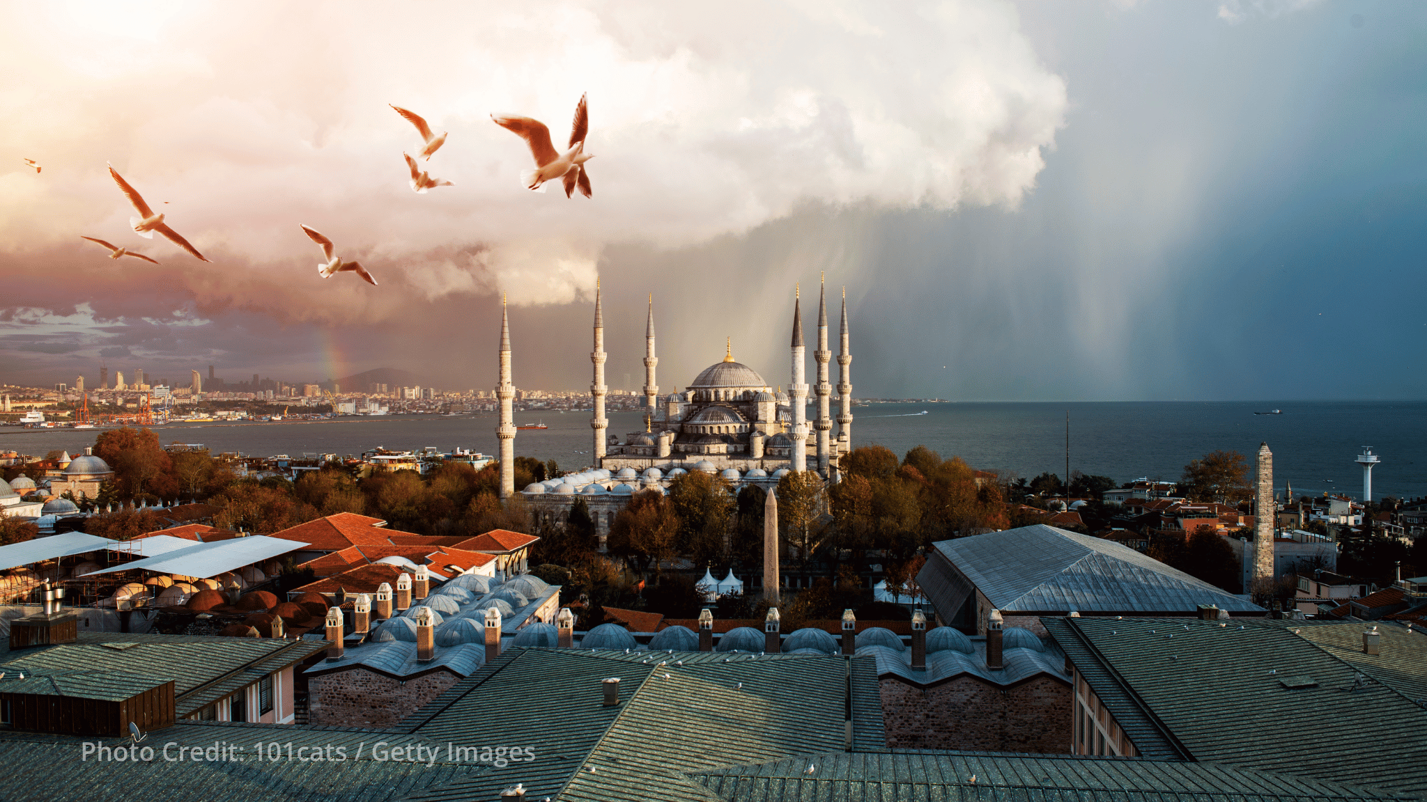 EBRD backs Enerjisa Enerji with US$ 207 million loan for Türkiye grid modernization