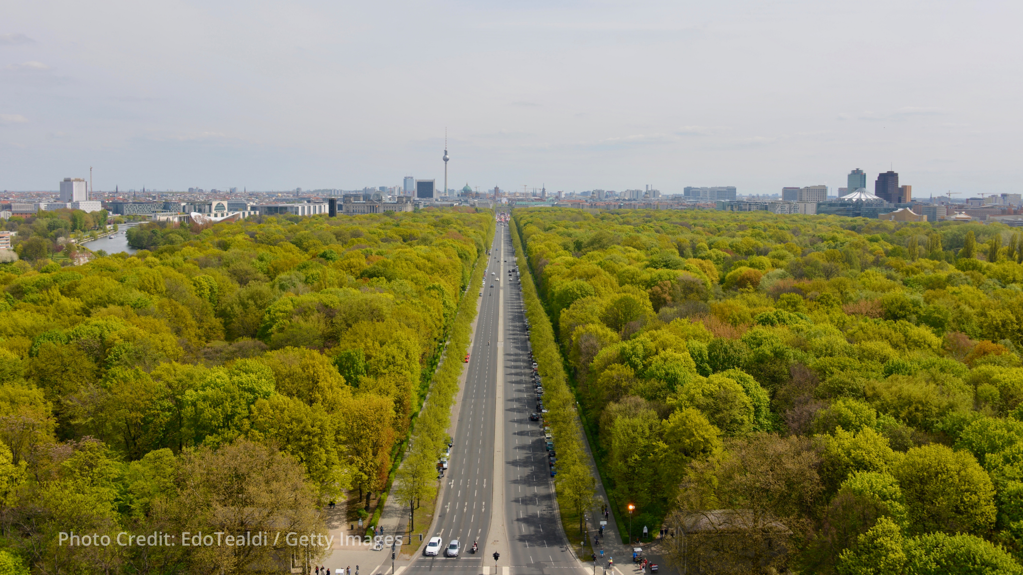 UNECE guide helps cities finance urban forests amid extreme heat