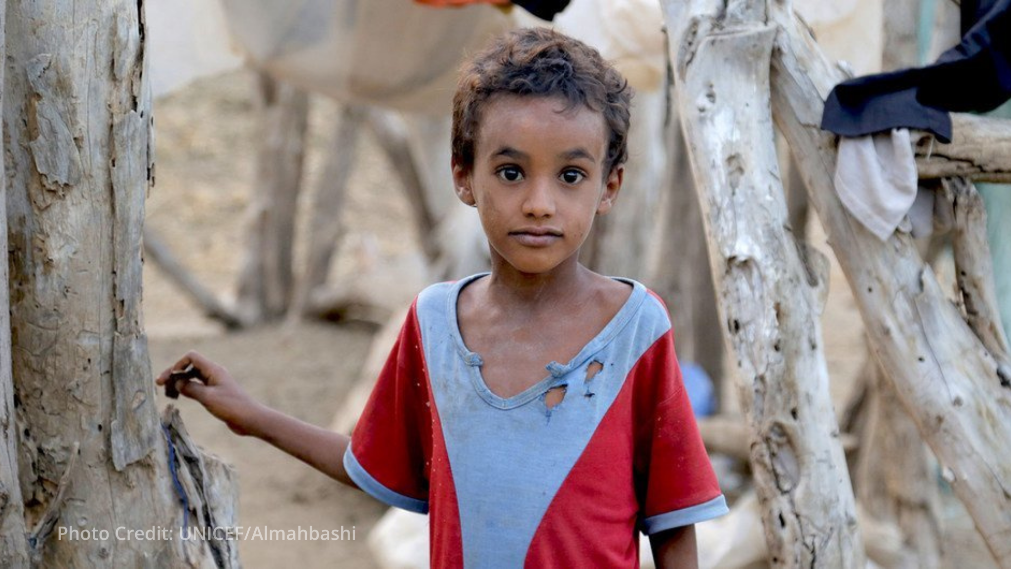 Surge in displacement reported after renewed fighting in southwest Yemen