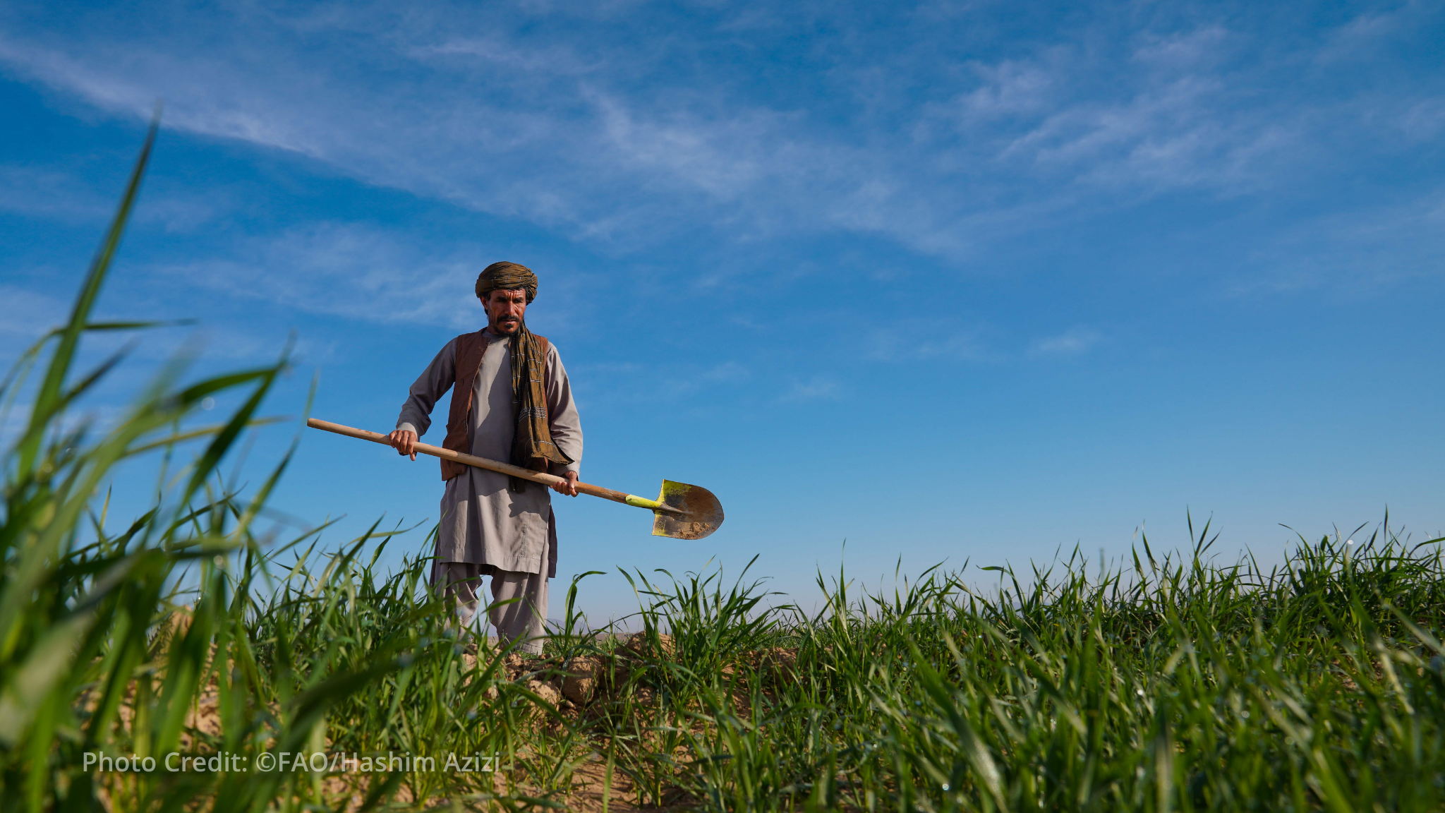 European Union and FAO launch €5 million initiative to strengthen Afghanistan's agrifood system