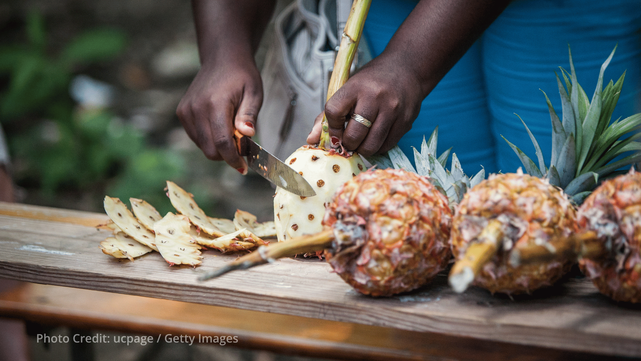 FAO emergency support helps vulnerable Haitian families produce food