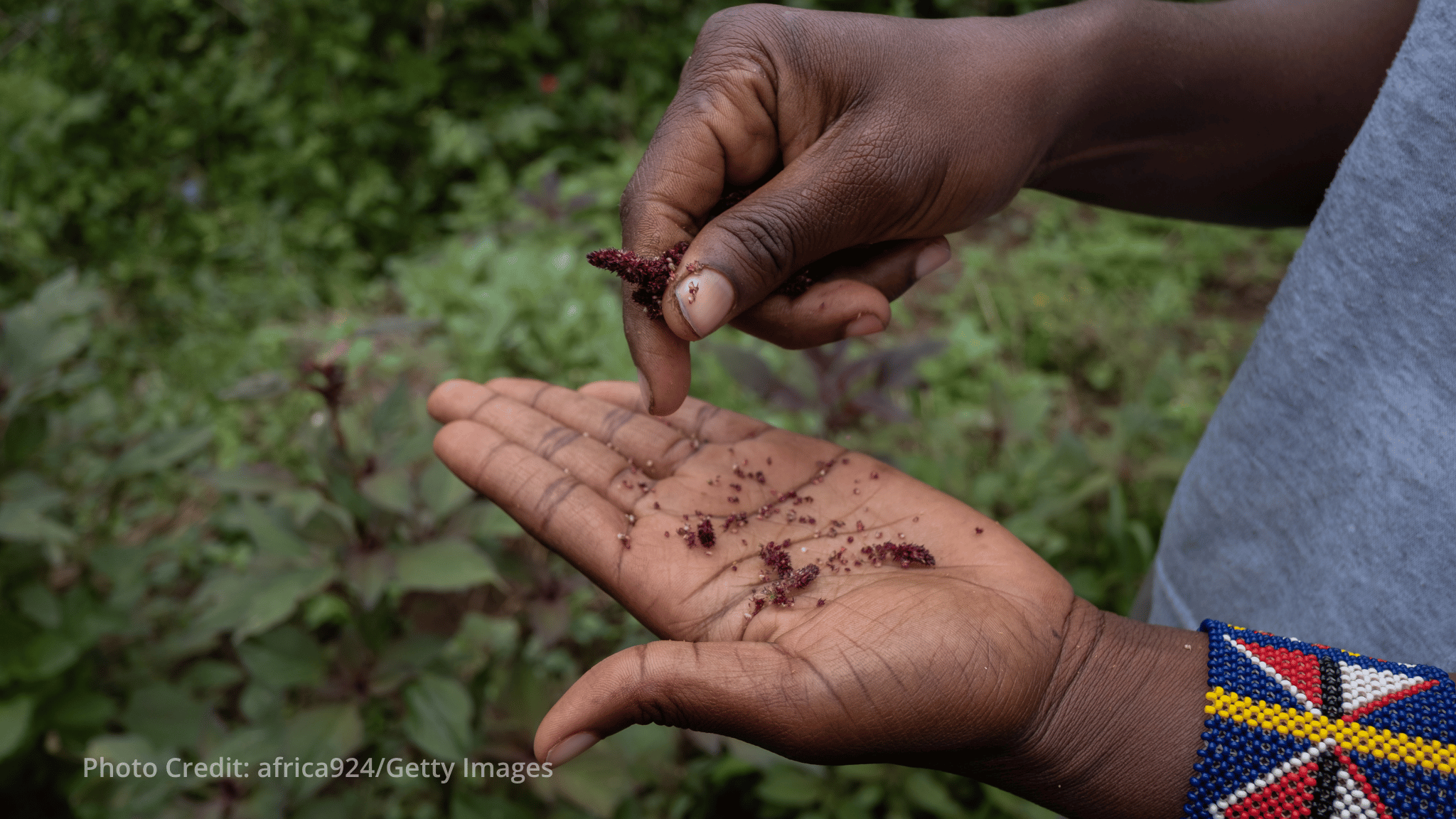 Kenya: Proparco invests in Farm to Feed to cut food loss