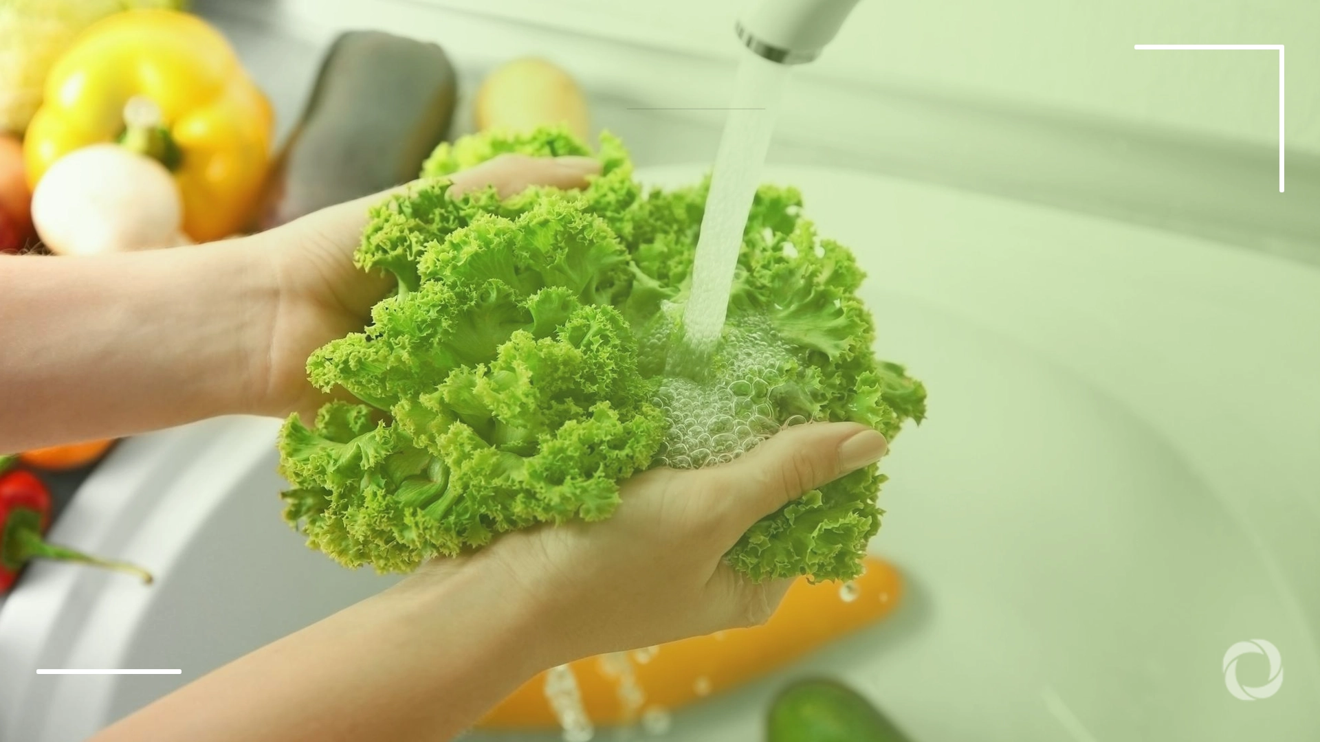 Cyclosporiasis outbreaks expose the growing gaps in global food safety systems