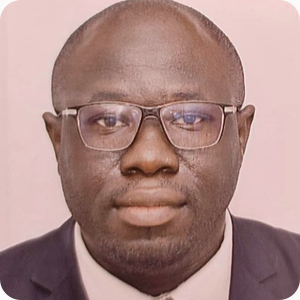 Dimiline Dadjo, Specialist in climate finance and strategic partnerships