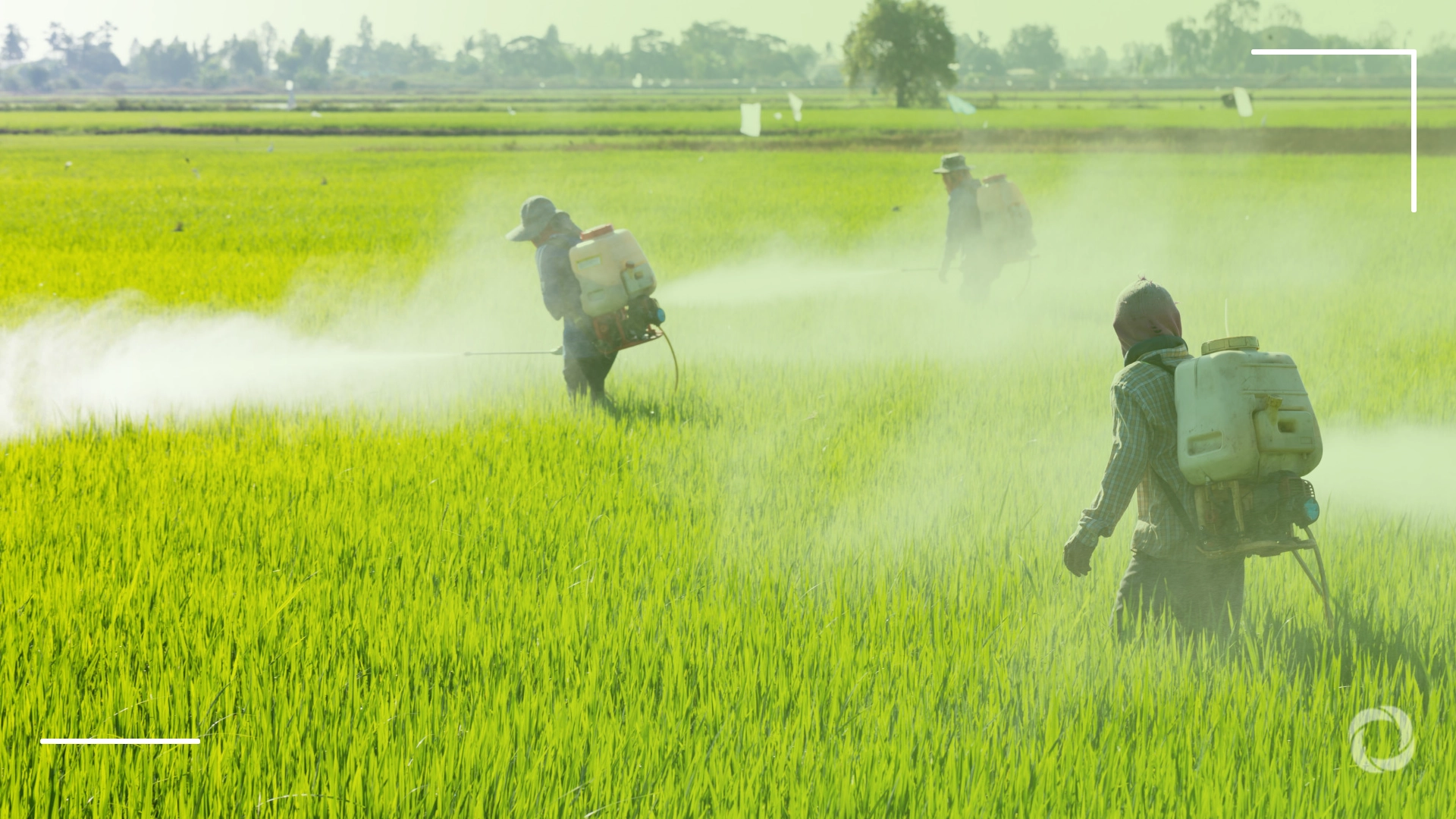 One in two farmers poisoned by pesticides annually: The true cost of feeding the world One in two farmers poisoned by pesticides annually: The true cost of feeding the world