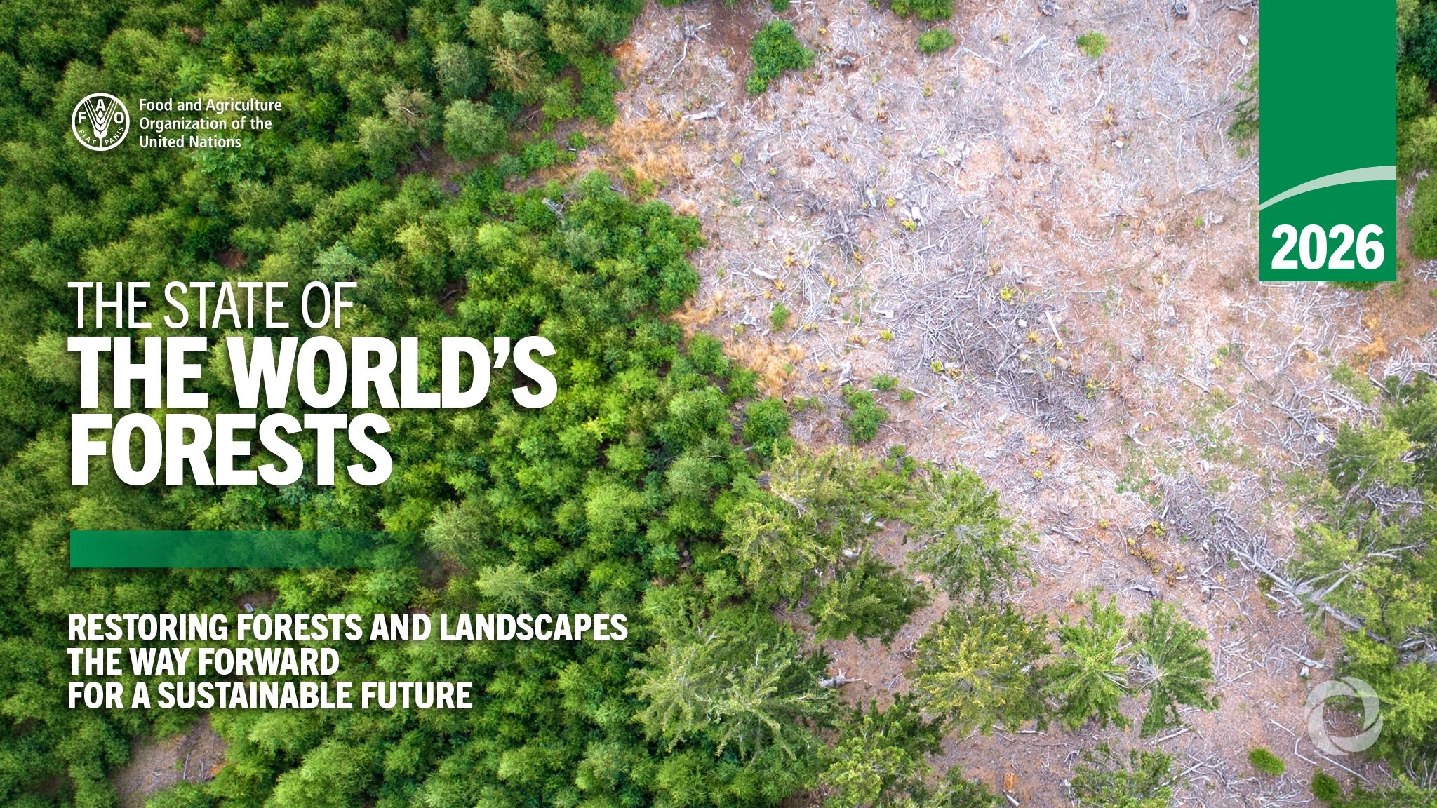 FAO report calls for scaling up forest restoration to secure food systems and development goals | Report