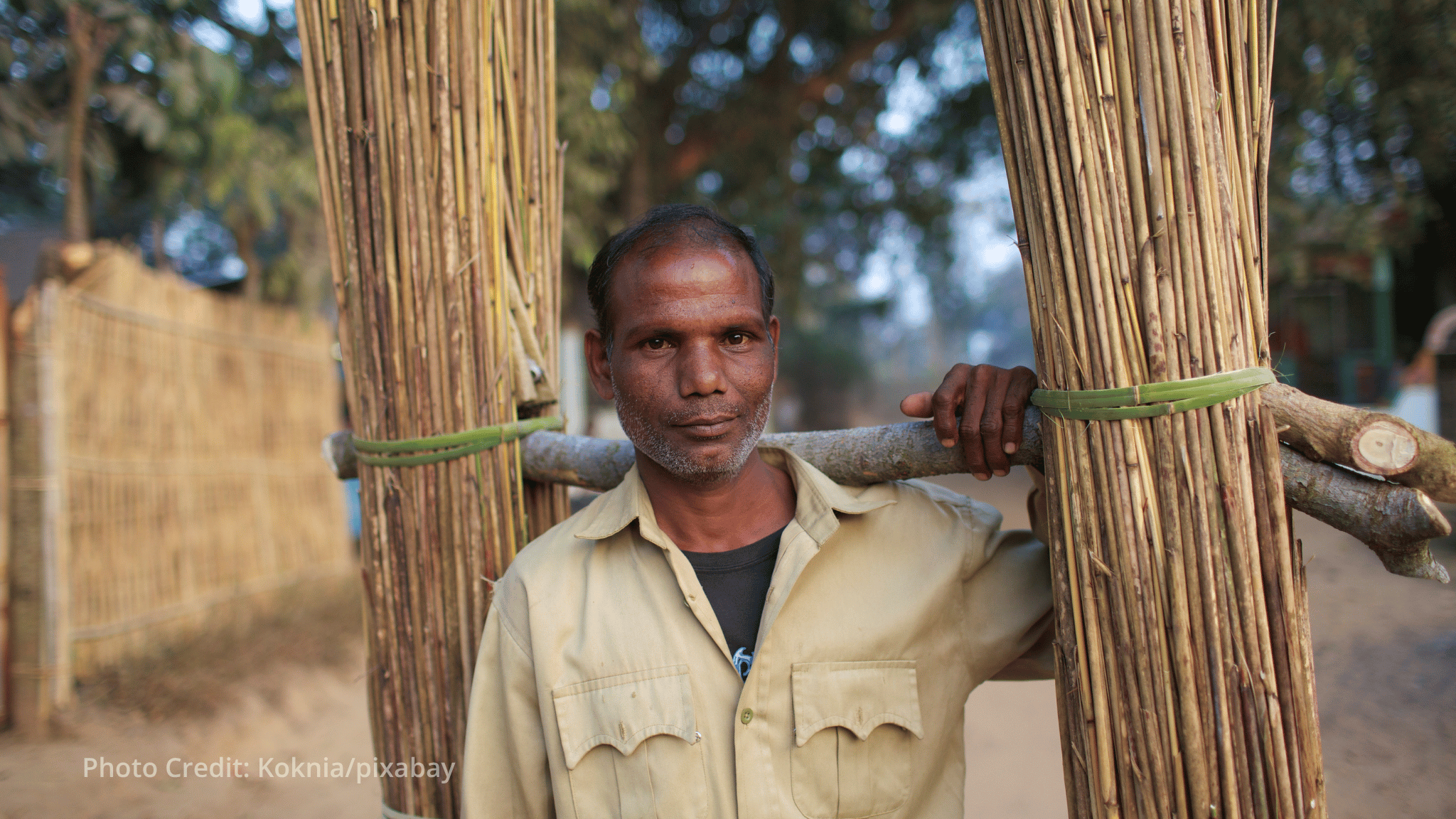 Digital tools reach 32,000 rural households across six countries through Innovatech 2.0