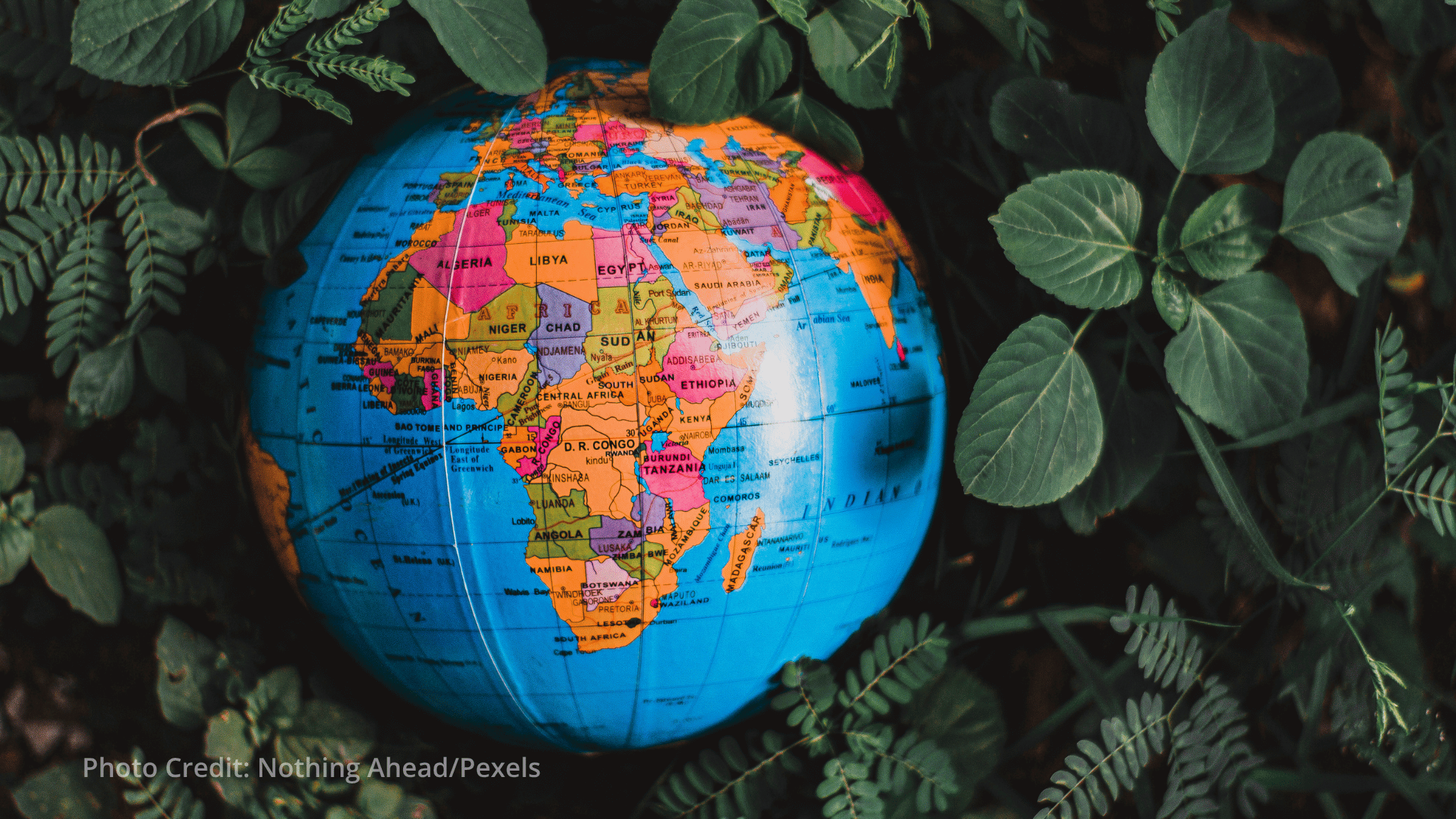 African Development Bank and Denmark expand partnership on green transition and private capital