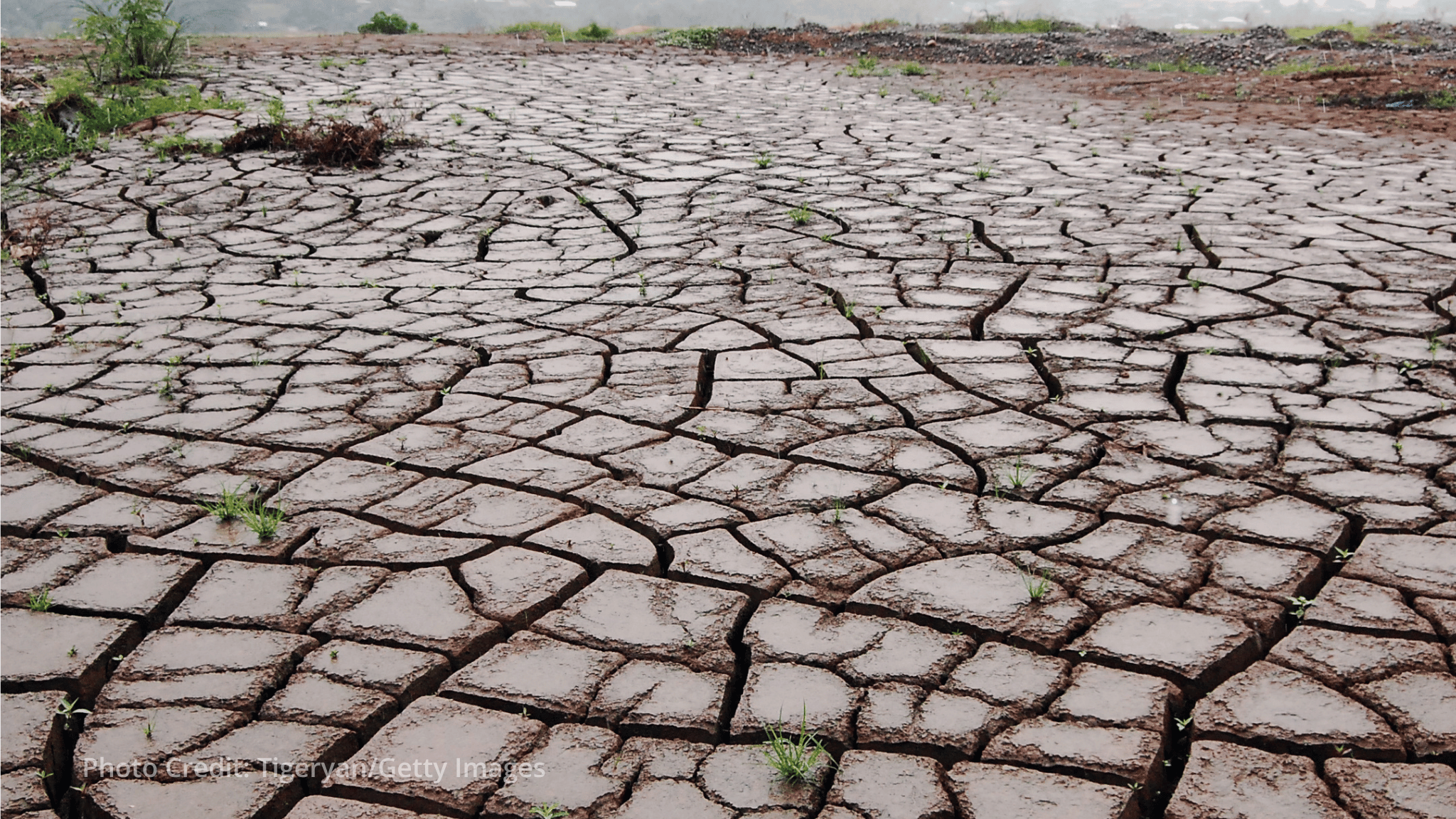 WMO warns of unprecedented El Niño strength in new seasonal outlook WMO warns of unprecedented El Niño strength in new seasonal outlook