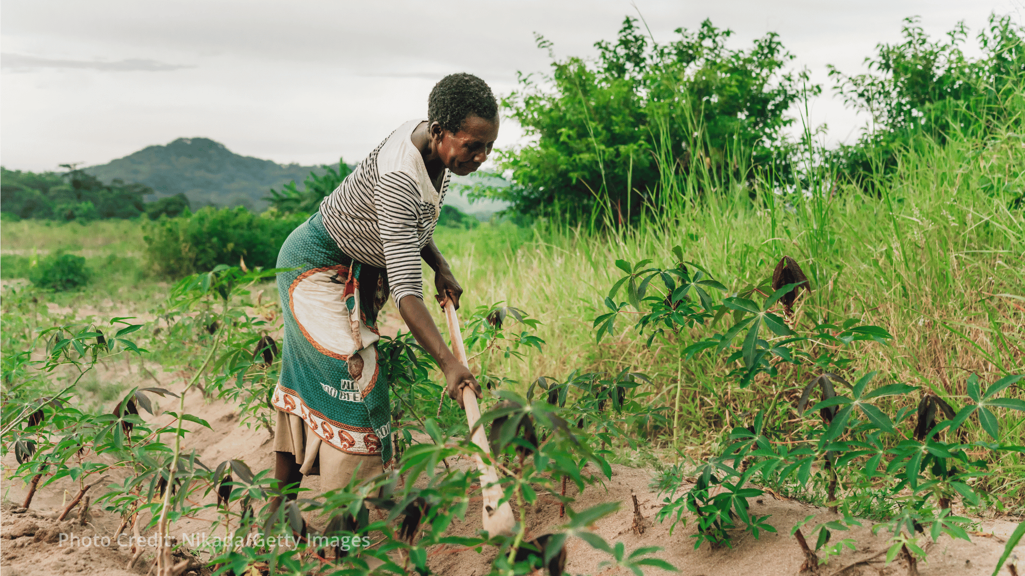 Malawi puts delivery at the center of its new climate plan