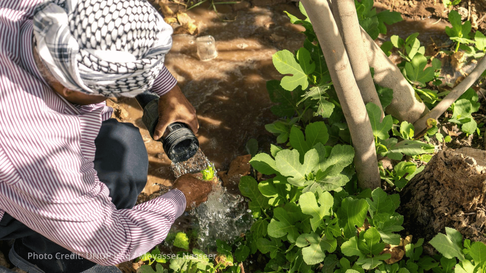 NDF commits EUR 500,000 to climate and peace investment initiative