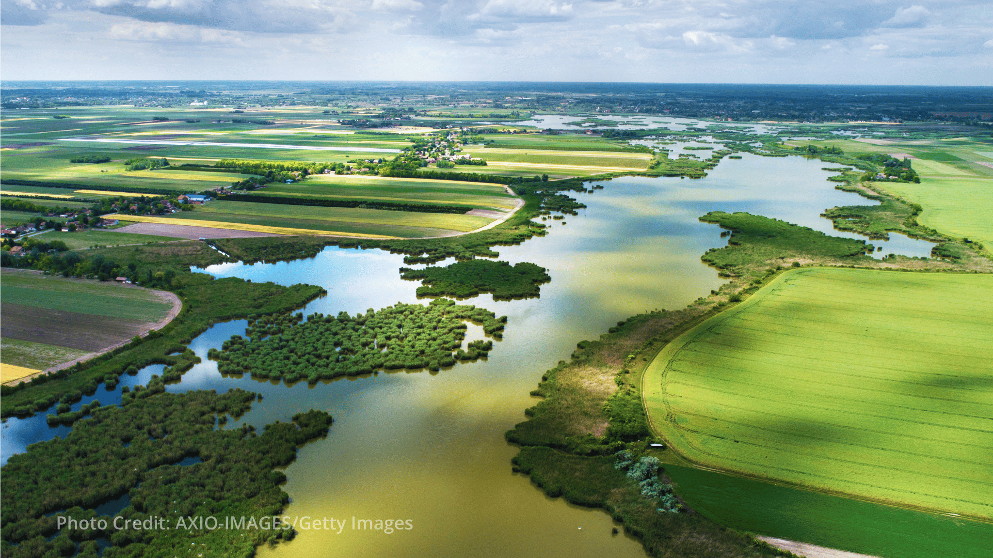 ADB launches biodiversity bond, incubator, and tracking report at COP17