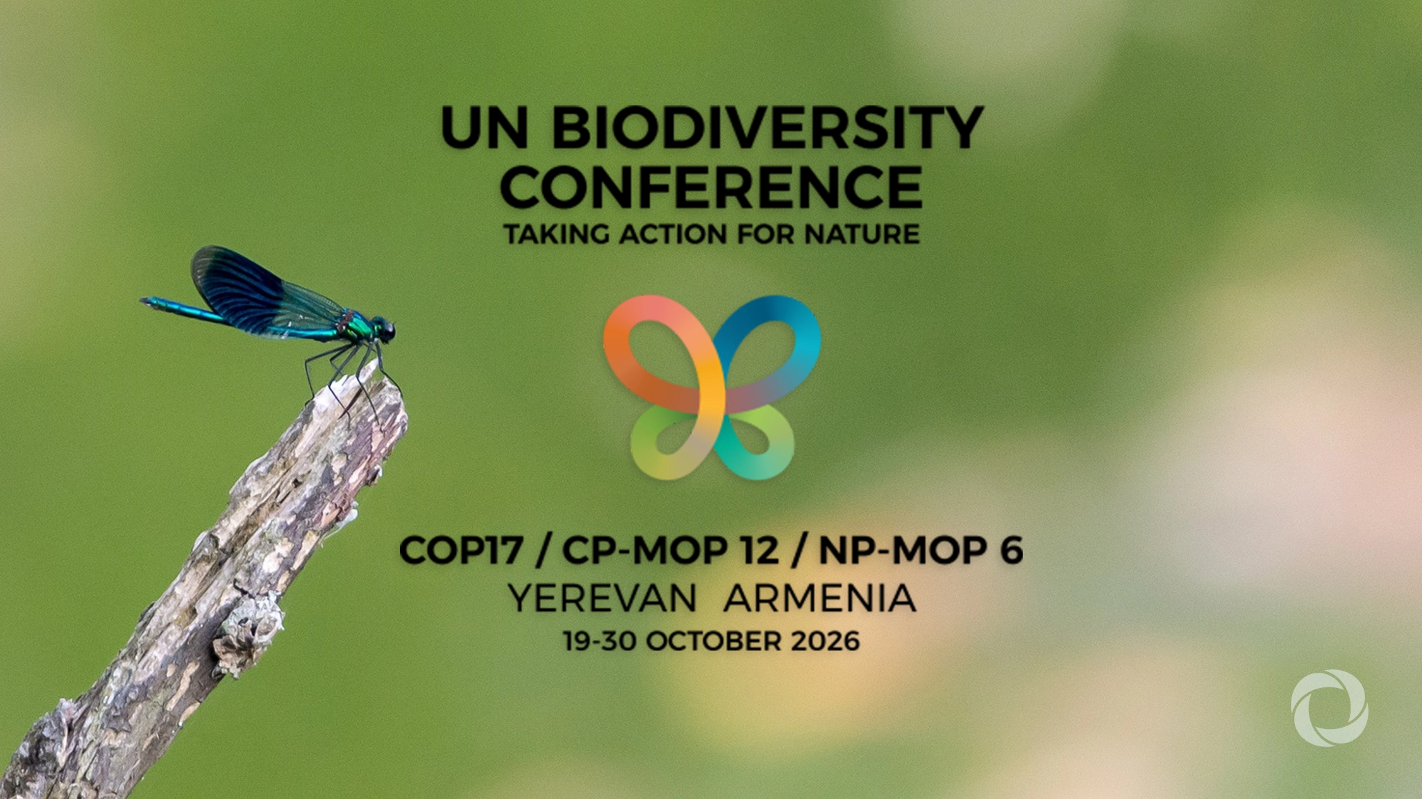 Seventeenth meeting of the Conference of the Parties to the Convention on Biological Diversity (COP 17)
