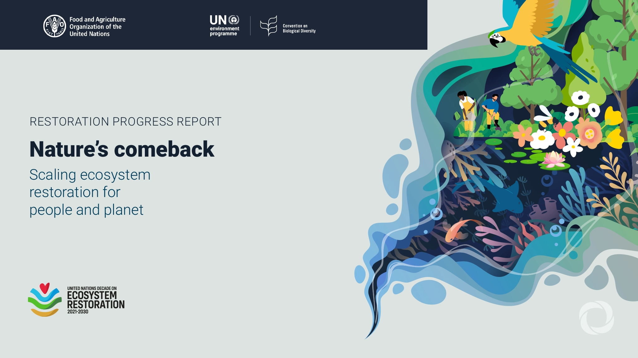 UN report finds 252 million hectares under restoration worldwide | Report