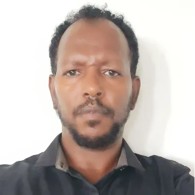 Ahmed A. avatar