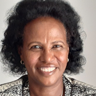 Melkamnesh Alemu N.