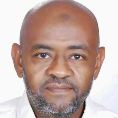 Mohamed Salah Eldin Elkheir