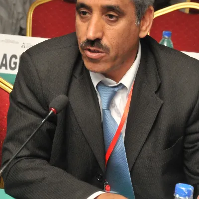 Raouani K.