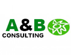 A&B Consulting, LLC