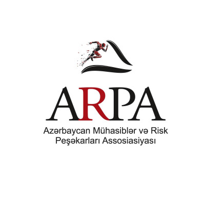 Accountants and Risk Professio