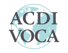 ACDI/VOCA (Egypt)