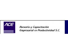 ACE Consultores