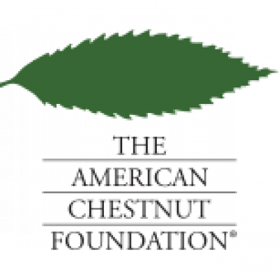 ACF - The American Chestnut Fo
