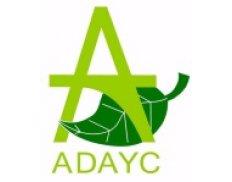 Adalid Asesores y Consultores (ADAYC)