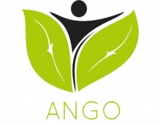 Afghanistan's New Generation Organization