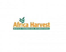 Africa Harvest Biotech Foundation International - AHBFI