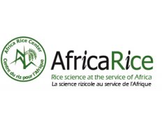 Africa Rice Center (AfricaRice