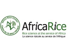 Africa Rice Center (AfricaRice) (formerly known as the West Africa Rice Development Association - WARDA)