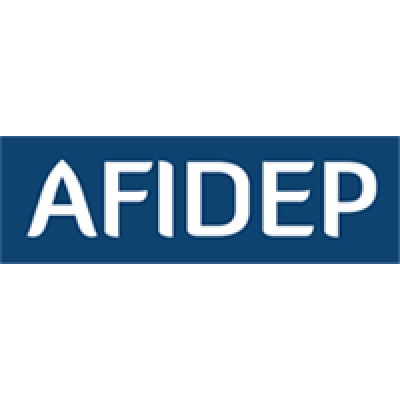 African Institute for Development Policy