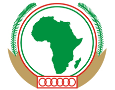 African Youth Ambassadors for 
