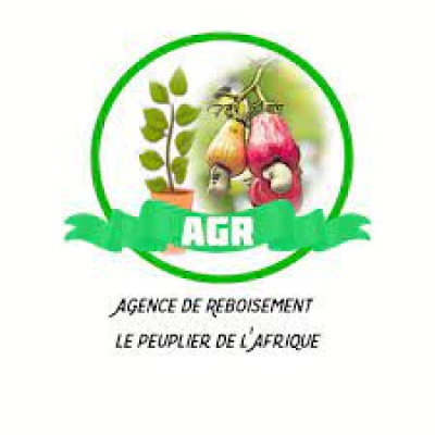 Agence de Reboisement le Peuplier d'Afrique