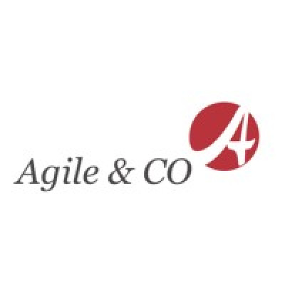 Agile & Co Limited Liability Company