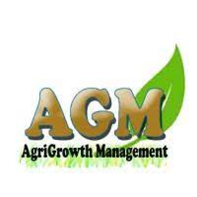 AGM Consulting SARL