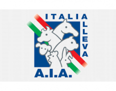 AIA - Associazione Italiana Allevatori (The Italian Breeders Association)